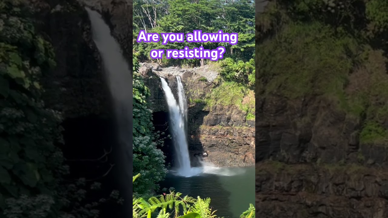 Allowing your Wholeness 🦋Abraham-Hicks Law of Attraction